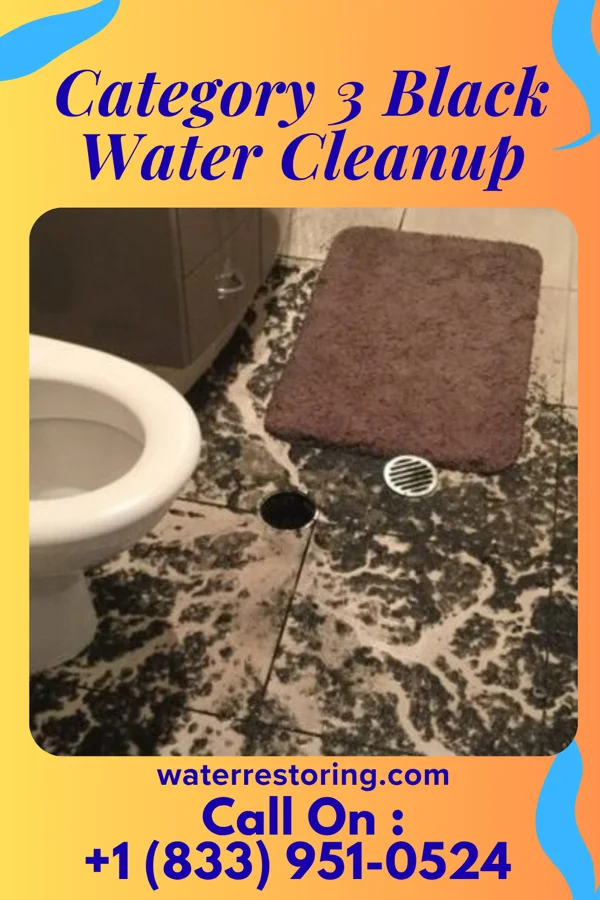 Category 3 Black Water Cleanup in Head of the Harbor, NY