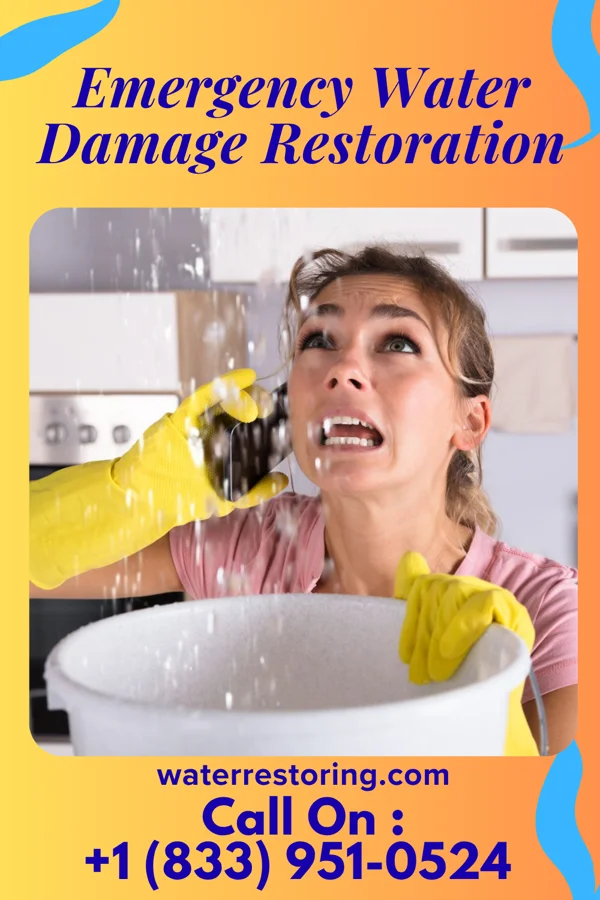Emergency Water Damage Restoration in Head of the Harbor, NY