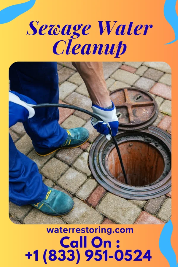 Sewage Water Cleanup in Head of the Harbor, NY