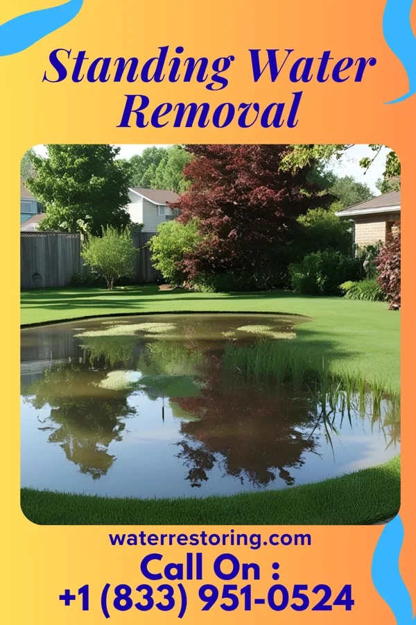 Standing Water Removal in Head of the Harbor, NY